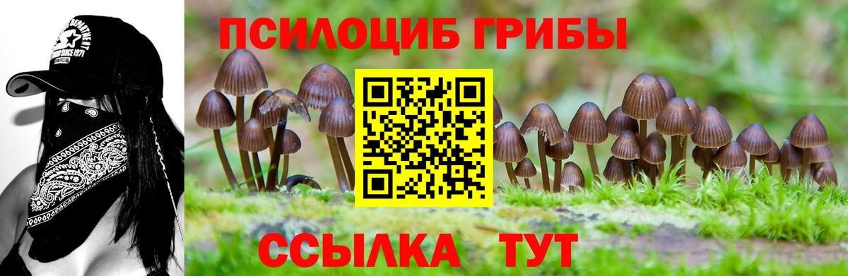 Галлюциногенные грибы мухоморы  даркнет сайт  Калач-на-Дону  Вход с VPN 